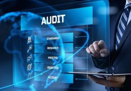 AUDIT SERVICES in India: Types, Process and Business Benefits