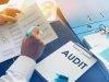 Auditing and Assurance Consulting Services for Businesses