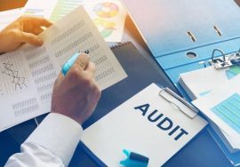 Auditing and Assurance Consulting Services for Businesses