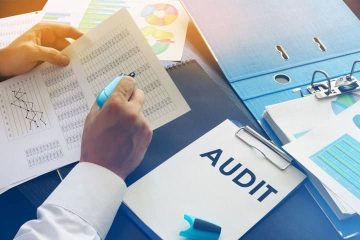 Auditing and Assurance Consulting Services for Businesses