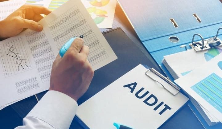 Auditing and Assurance Consulting Services for Businesses